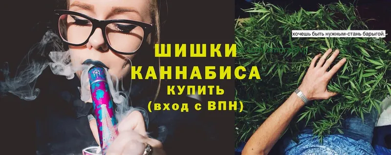 как найти   Великий Устюг  Бошки марихуана THC 21% 